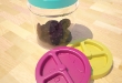studio_vaso_ortes_sorriso_copia